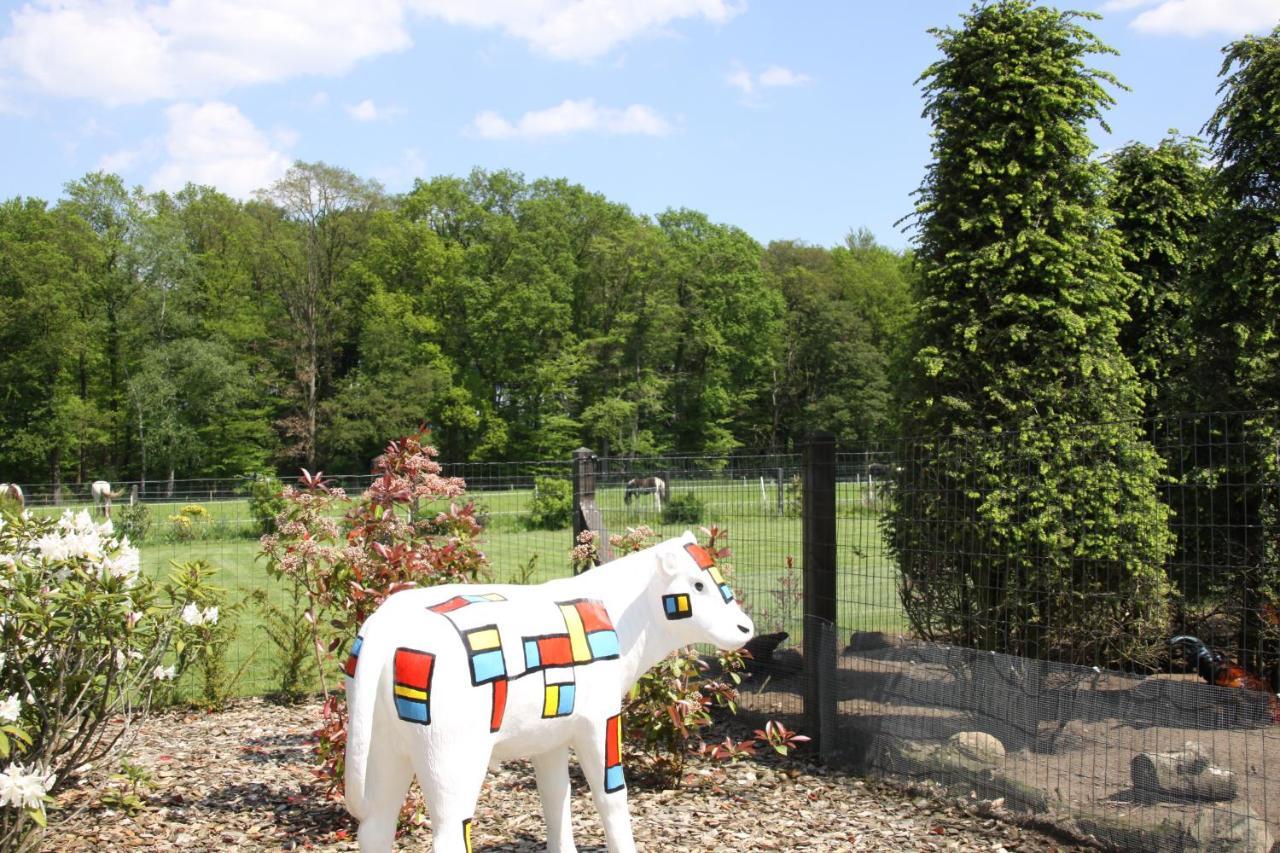 B&B Hoeve De Veldmaat Haaksbergen Esterno foto